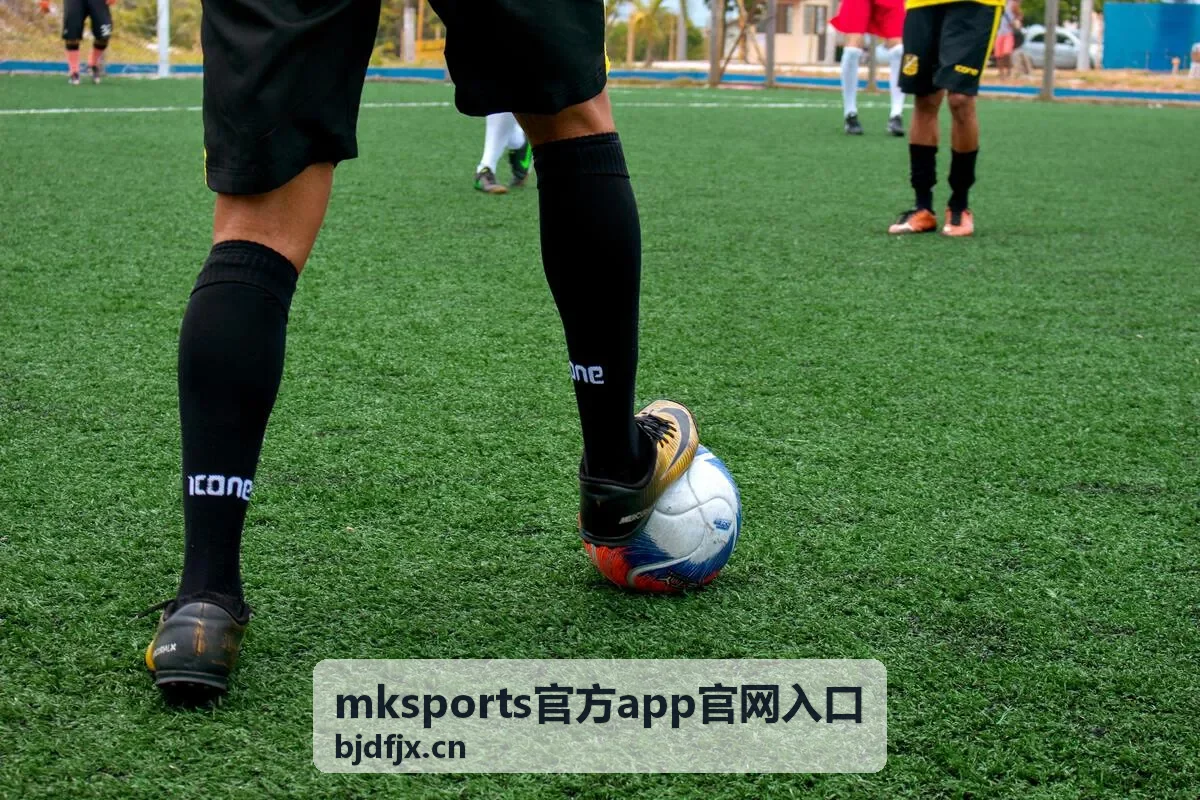 mksports官方app官网入口的安装准备场景示意