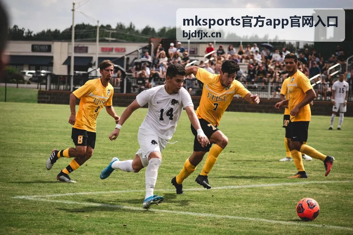 mksports官方app官网入口换设备后数据同步说明配图